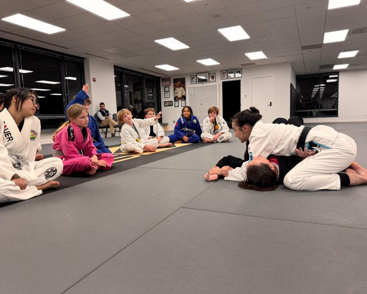 Youth Brazilian Jiu-Jitsu martial arts program in progress at Pedro Sauer Academy